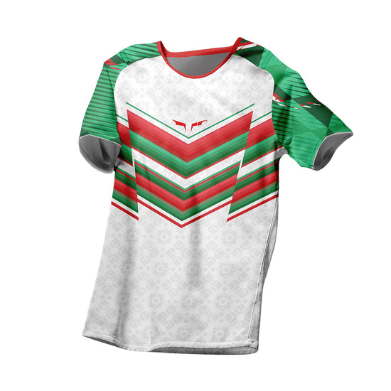 Algeria Home Football Jersey Fifa Concept Edition